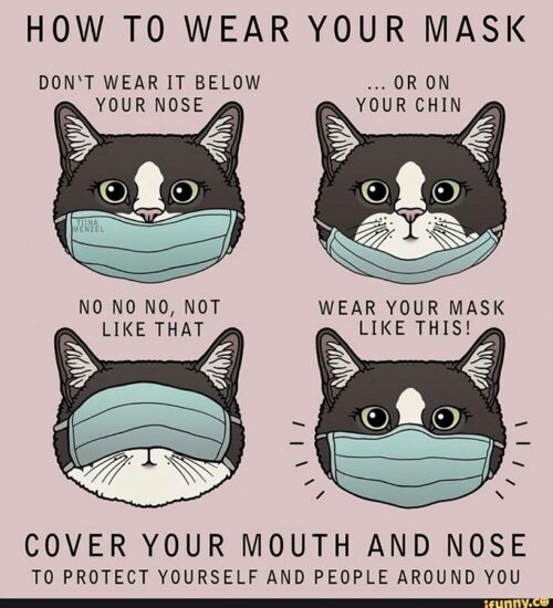 How to Wear Your Mask